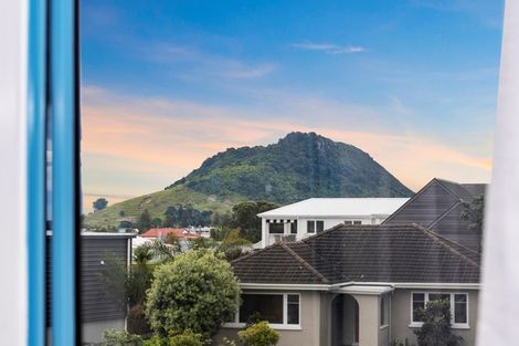 Photo of property in 24a Terrace Avenue, Mount Maunganui, 3116