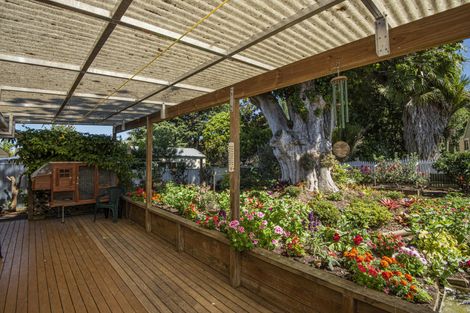 Photo of property in 76 Puriri Park Road, Maunu, Whangarei, 0110