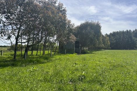 Photo of property in 187 Curran Road, Otatara, Invercargill, 9879