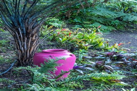 Photo of property in 118 Ngarara Road, Waikanae, 5036