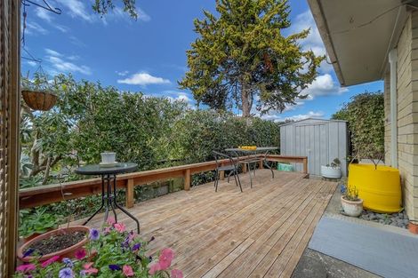 Photo of property in 38a Bent Street, Putaruru, 3411