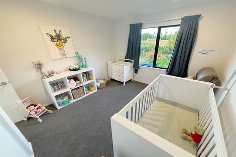 Photo of property in 198 Easterbrook Road, Fernside, Kaiapoi, 7691