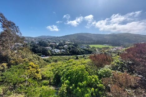 Photo of property in 45 Pembroke Road, Northland, Wellington, 6012