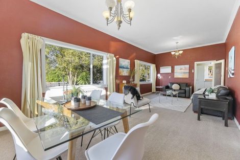 Photo of property in 17 Woodhaugh Street, Woodhaugh, Dunedin, 9010