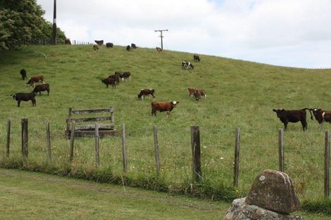 Photo of property in 143 Pond Road, Raglan, 3295