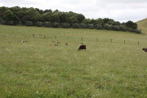 Photo of property in 143 Pond Road, Raglan, 3295