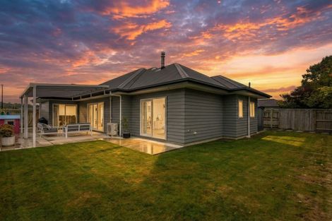 Photo of property in 31 Monarch Drive, Ashhurst, 4810