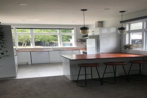 Photo of property in 24 Ryan Street, Phillipstown, Christchurch, 8011