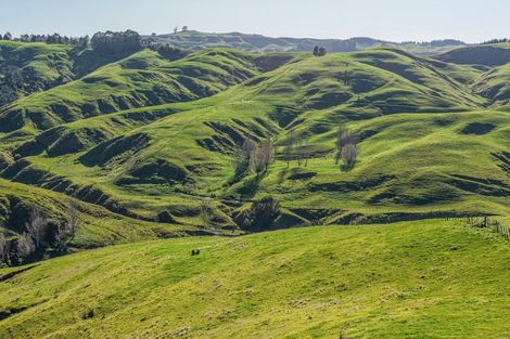 Photo of property in 717 Puketitiri Road, Puketapu, Napier, 4182