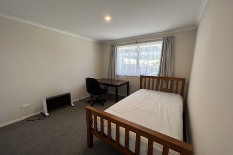 Photo of property in 393a Peachgrove Road, Fairfield, Hamilton, 3214