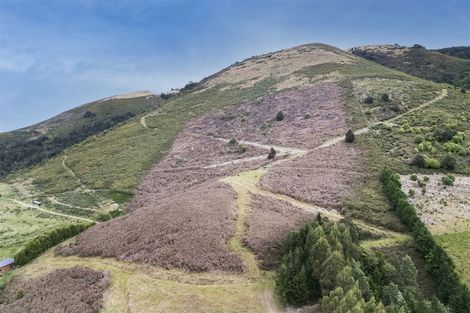 Photo of property in 255 Glentui Bush Road, Glentui, Oxford, 7495