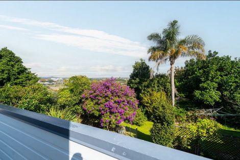 Photo of property in 33 Collingwood Street, Judea, Tauranga, 3110