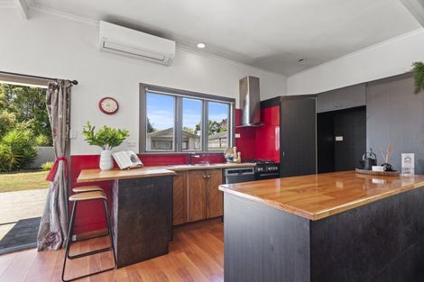 Photo of property in 61 Shamrock Street, Takaro, Palmerston North, 4412