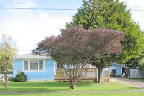 Photo of property in 13 Bartholomew Road, Levin, 5510