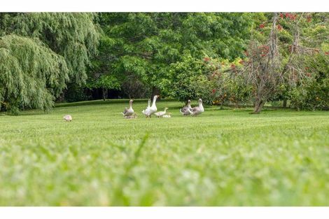 Photo of property in 68 Wiroa Road, Kerikeri, 0293