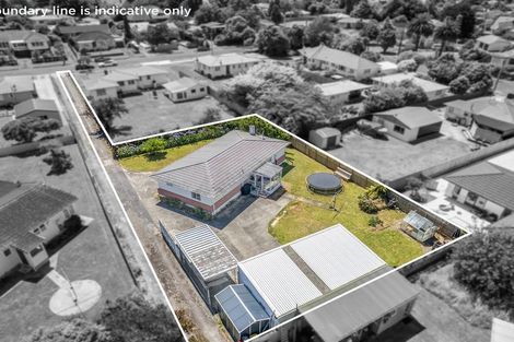 Photo of property in 10 Hobson Street, Levin, 5510