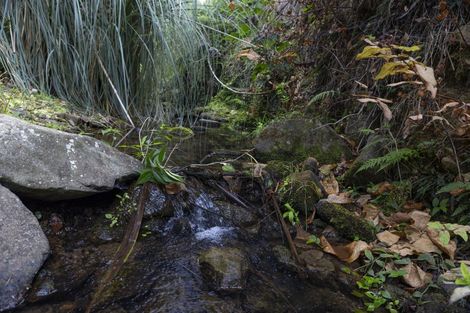Photo of property in 39 Gangway Road, Totara North, Kaeo, 0479