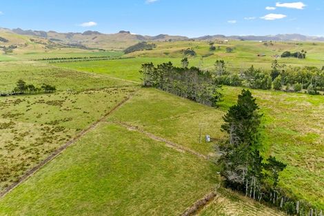 Photo of property in 331 South Head Road, South Head, Helensville, 0874