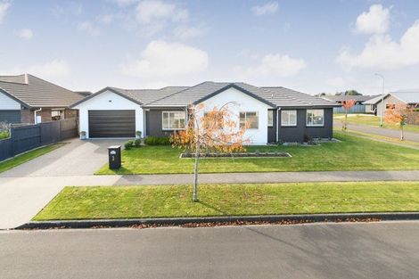 Photo of property in 3 Accolade Street, Feilding, 4702