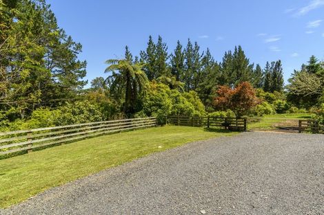 Photo of property in 1138 Omanawa Road, Omanawa, Tauranga, 3171