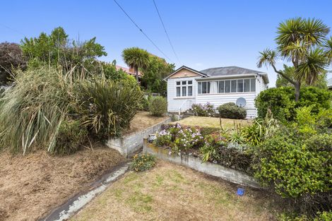 Photo of property in 22 Oregon Street, Ocean Grove, Dunedin, 9013