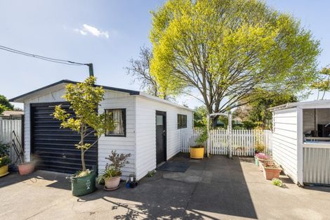 Photo of property in 705 Kowhai Street, Mahora, Hastings, 4120