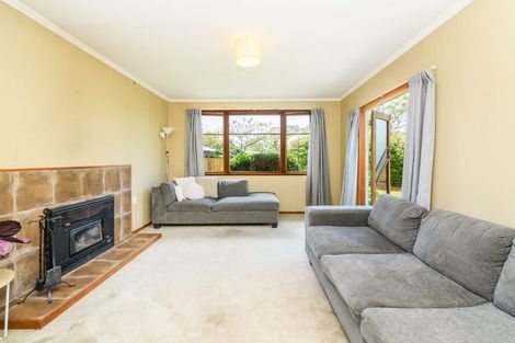 Photo of property in 26 Snowdon Avenue, Terrace End, Palmerston North, 4410