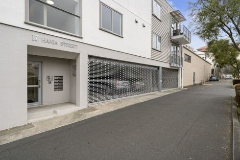 Photo of property in 17b Hania Street, Mount Victoria, Wellington, 6011
