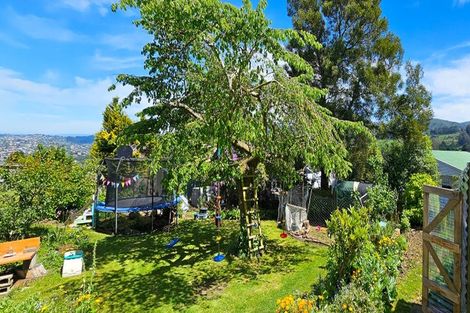 Photo of property in 19 Dalrymple Street, Pine Hill, Dunedin, 9010