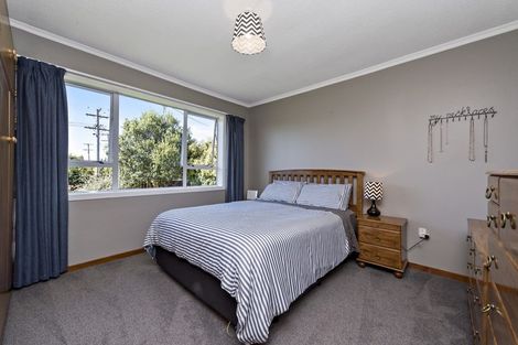 Photo of property in 19 Manchester Street, Tinwald, Ashburton, 7700