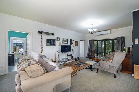 Photo of property in 111 Bowman Road, Woodville, 4999