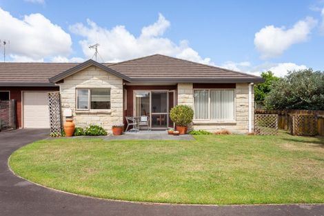 Photo of property in 8d Vosper Street, Matamata, 3400