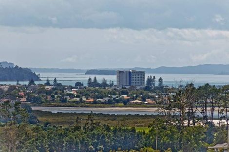 Photo of property in 41 Cilliers Drive, Silverdale, 0932