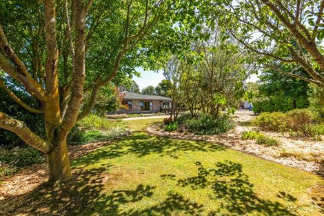 Photo of property in 168 Parewanui Road, Bulls, 4894
