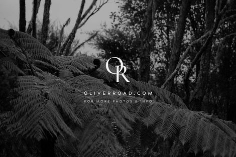 Photo of property in 20b Taylor Road, Waimauku, 0882