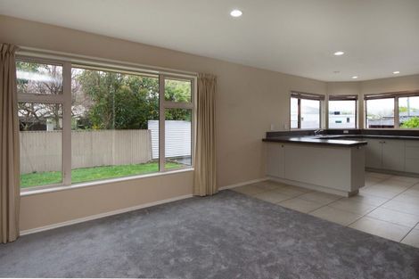 Photo of property in 100a Alfred Street, Blenheim, 7201