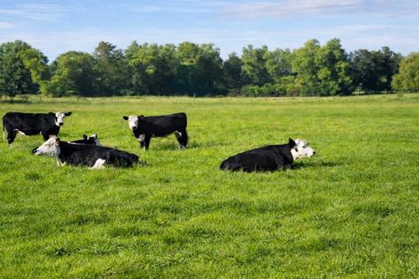 Photo of property in 46b Hana Lane, Tamahere, Hamilton, 3493