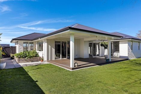 Photo of property in 19 Hinerangi Crescent, Matamata, 3400
