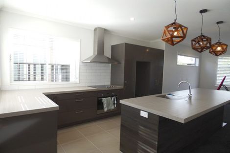 Photo of property in 9 Liquidambar Drive, Hobsonville, Auckland, 0616