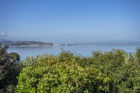 Photo of property in 21 Avonbank Place, Marybank, Nelson, 7010