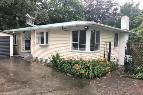Photo of property in 19 Rawhiti Street, Vogeltown, New Plymouth, 4310