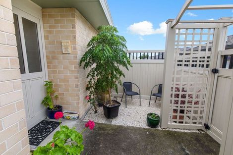 Photo of property in 61 Winchester Street, Levin, 5510