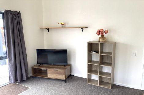 Photo of property in 3/6 Pauareka Road, Haast, 7886