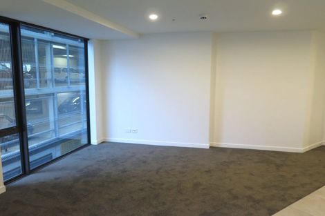 Photo of property in Pinnacle Apartments, E203/160 Victoria Street, Te Aro, Wellington, 6011