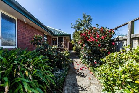 Photo of property in 44 Durham Street, Winton, 9720
