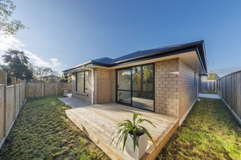 Photo of property in 29a Chelwood Street, Takaro, Palmerston North, 4412