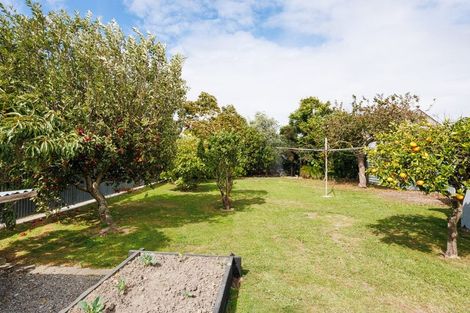 Photo of property in 8 Paisley Street, Awapuni, Palmerston North, 4412