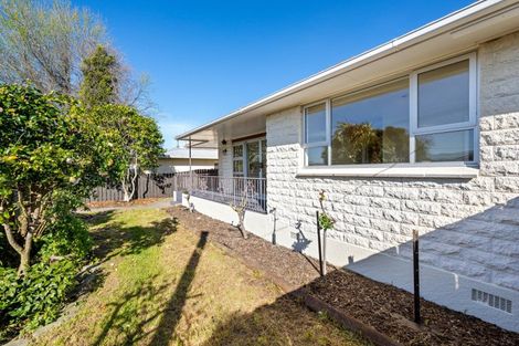 Photo of property in 5 Allen Street, Redwoodtown, Blenheim, 7201