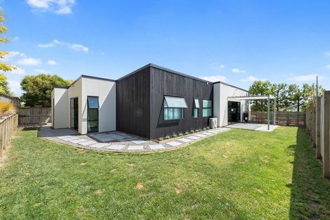 Photo of property in 17 Vantage Place, Flagstaff, Hamilton, 3210