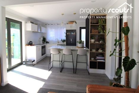 Photo of property in 111 Norwood Street, Normanby, Dunedin, 9010